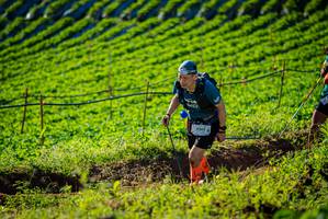 BIB: 
                            <button type="button" onclick="openModal(19160351)" class="btn btn-primary btn-sm float-right btn-popup" data-toggle="modal" data-target=".modal-high-quality">
                        <i class="fas fa-shopping-cart"></i> Add to Cart
                    </button>
                                            <button type="button" onclick="isThisMe(19160351, true)" class="btn btn-success btn-sm float-right btn-popup btn-isme hidden" data-toggle="tooltip" data-placement="bottom" title="นี่คือรูปของคุณใช่ไหม คลิกที่นี่เพื่อเอาเข้าอัลบั้ม">
                        <i class="fas fa-plus"></i> Add to album
                    </button>
                    <button type="button" onclick="isThisMe(19160351, false)" class="btn btn-warning btn-sm float-right btn-popup btn-isnotme hidden">
                        <i class="fas fa-ban"></i> Remove from album
                    </button>